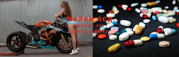 индика Белоозёрский