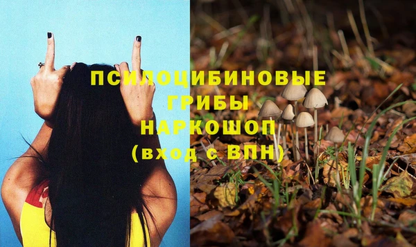 индика Белоозёрский