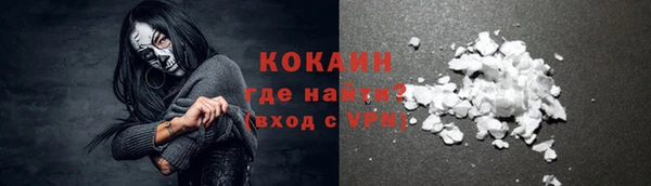индика Белоозёрский