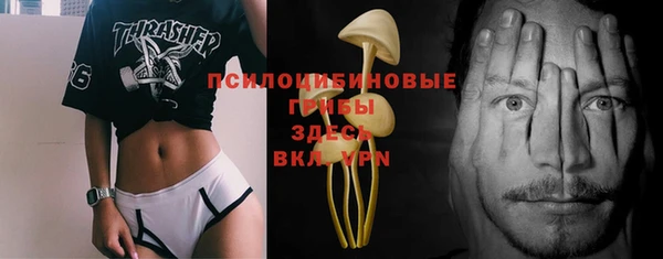 индика Белоозёрский