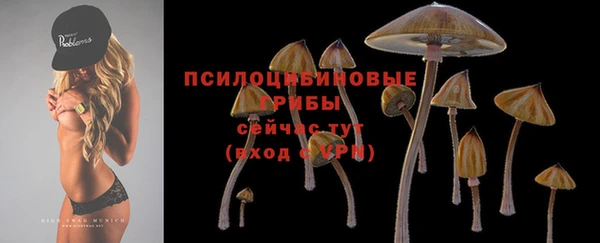 стафф Беломорск