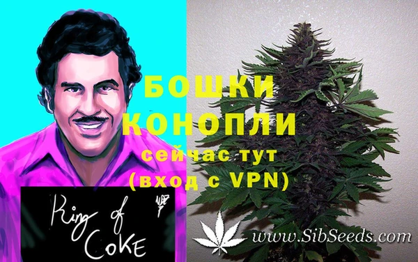 твердый Белокуриха