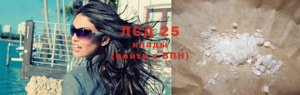 индика Белоозёрский