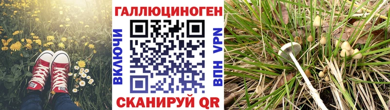 Галлюциногенные грибы Magic Shrooms  Воскресенск 